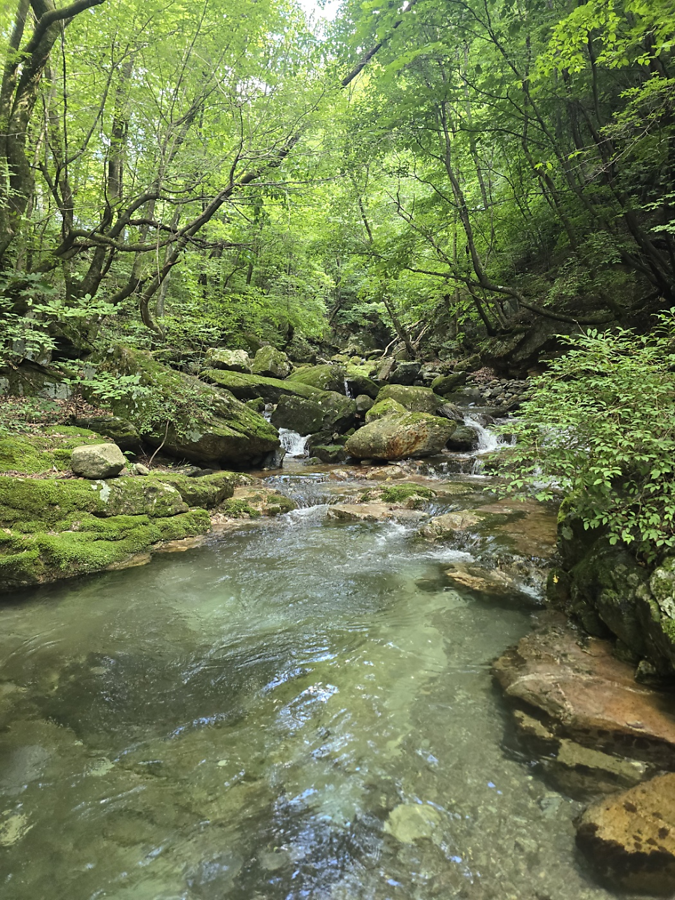 연하계곡 사진 6