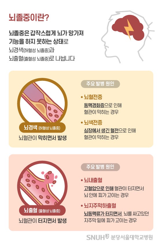뇌경색에 좋은 음식과 과일, 건강한 식단 관리법