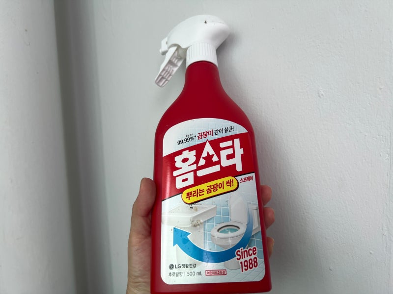 다이소 곰팡이 제거제, 홈스타 베란다 전후 사진 비교