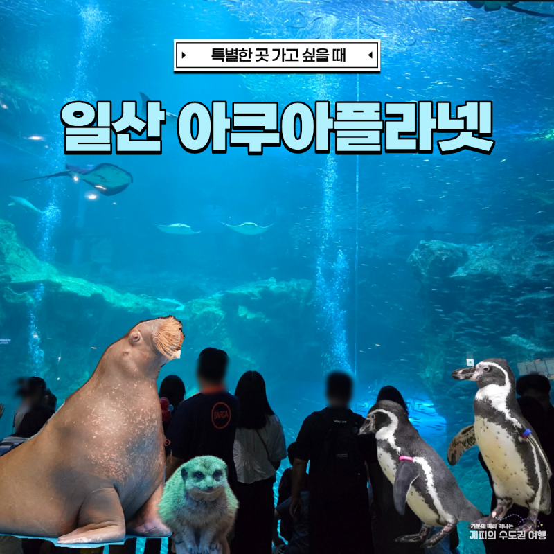 일산 아이랑 갈만한곳 일산아쿠아플라넷, 할인 공연 시간표 주차 푸드코트 정보