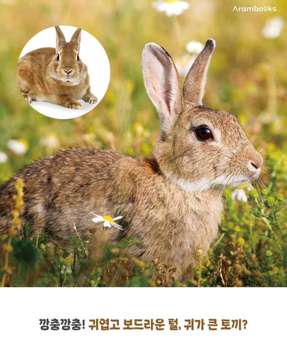 전집 사진 2