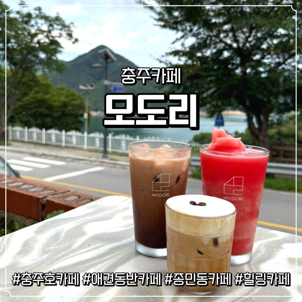 모도리 사진 1