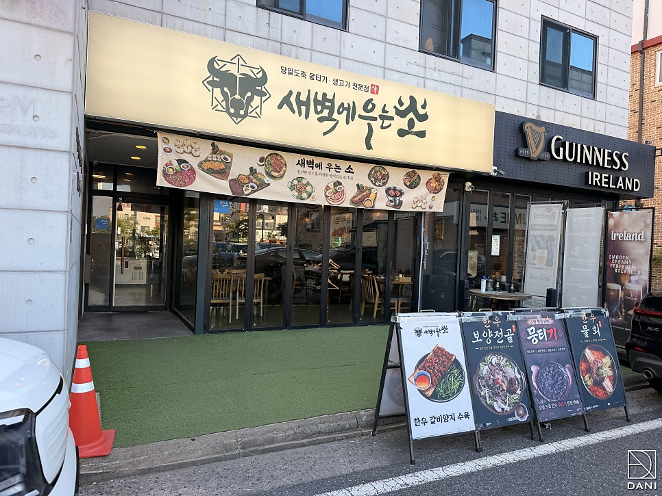 새벽에우는소 사진 4