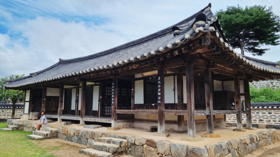 백야 사진 4