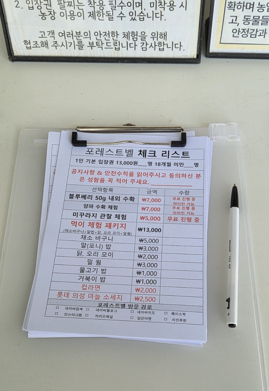 포레스트 사진 4