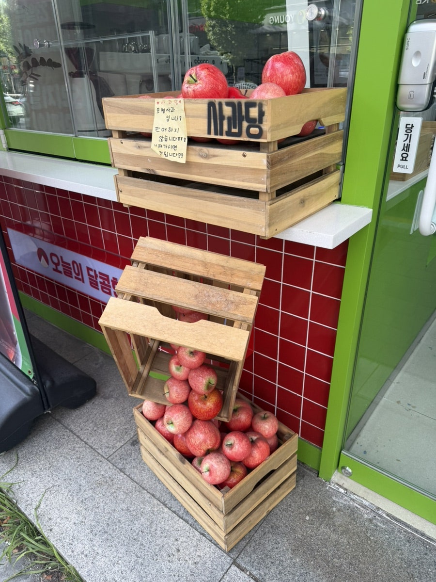 사과당 광주봉선점 사진 5