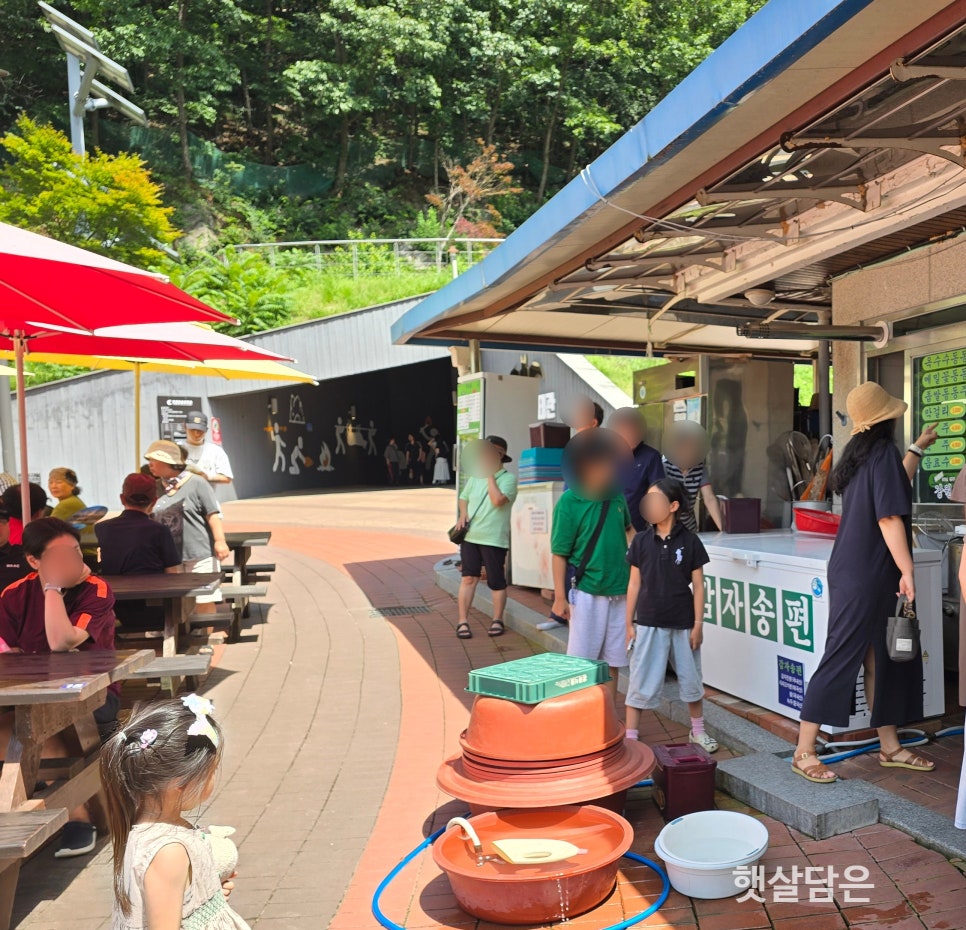 강원토속식당 사진 2