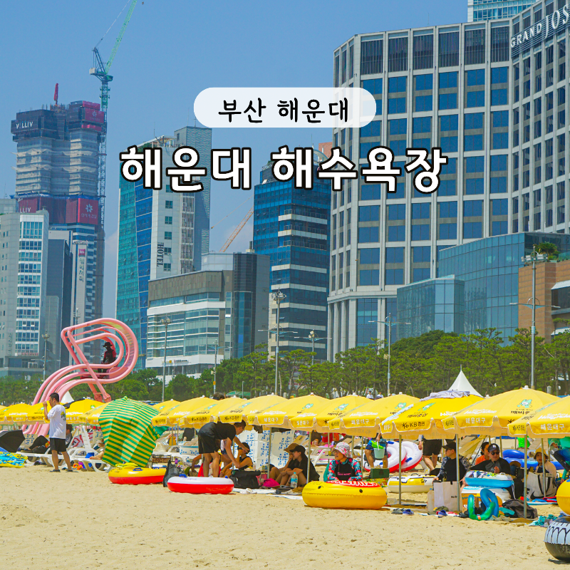 부산 해운대해수욕장 파라솔 튜브 비치베드 구명조끼 대여료 샤워장 물품보관함 주차장 안....