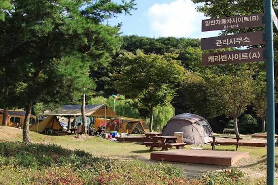 칠갑산오토캠핑장 사진 2