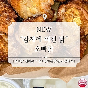 [파주 맛집] 감자에 빠진 닭 파주다율점 신메뉴 포장 후기 | 오빠닭 글루텐프리치킨 | 오븐에 ....