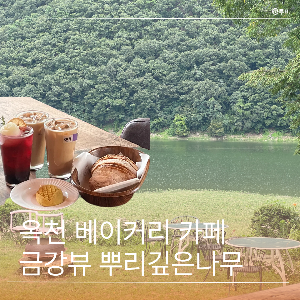 뿌리깊은나무 사진 1