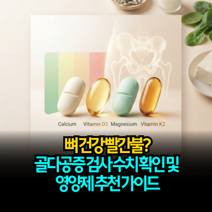 뼈 건강 빨간불? 골다공증 검사 수치 확인 및 영양제 추천 가이드