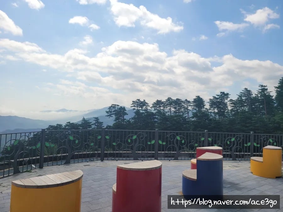 대관령전망대 사진 3