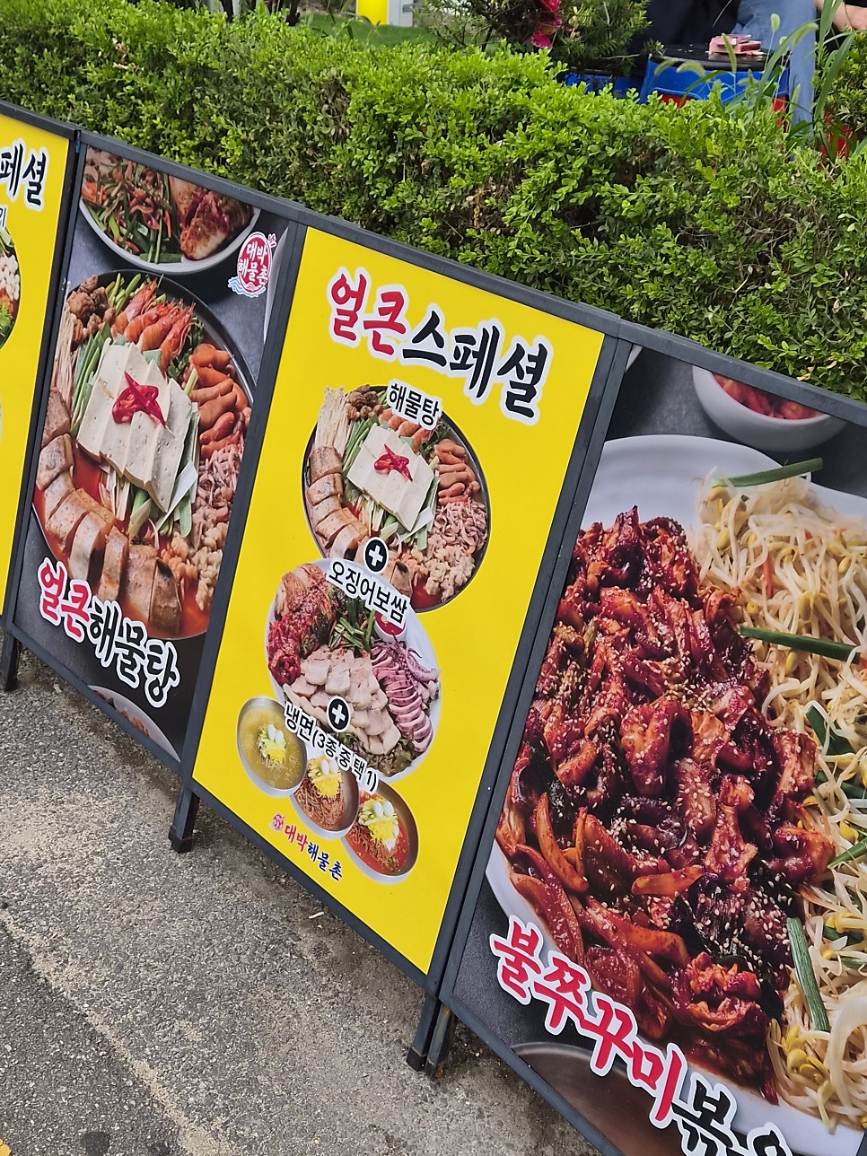 대박 사진 5