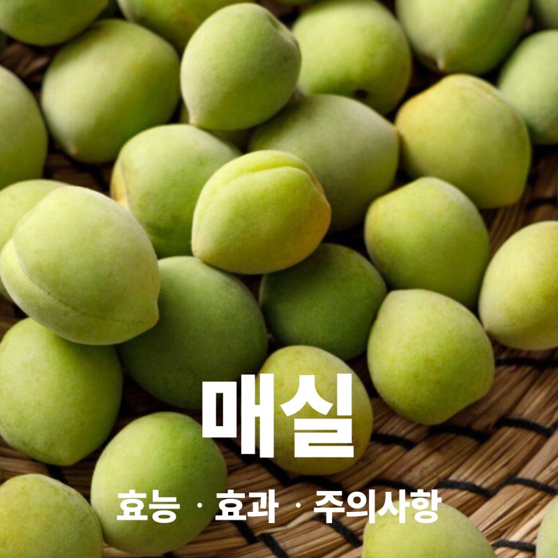 매실 효능 부작용 보관방법 주의사항