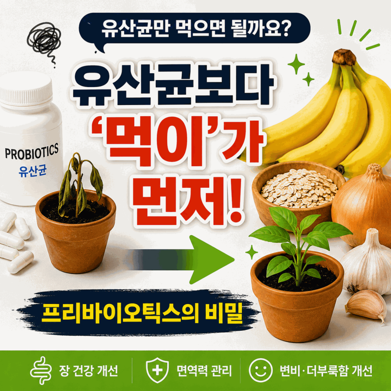 프리바이오틱스 풍부한 식품 10가지, 유산균을 먹어도 효과 없었던 진짜 이유