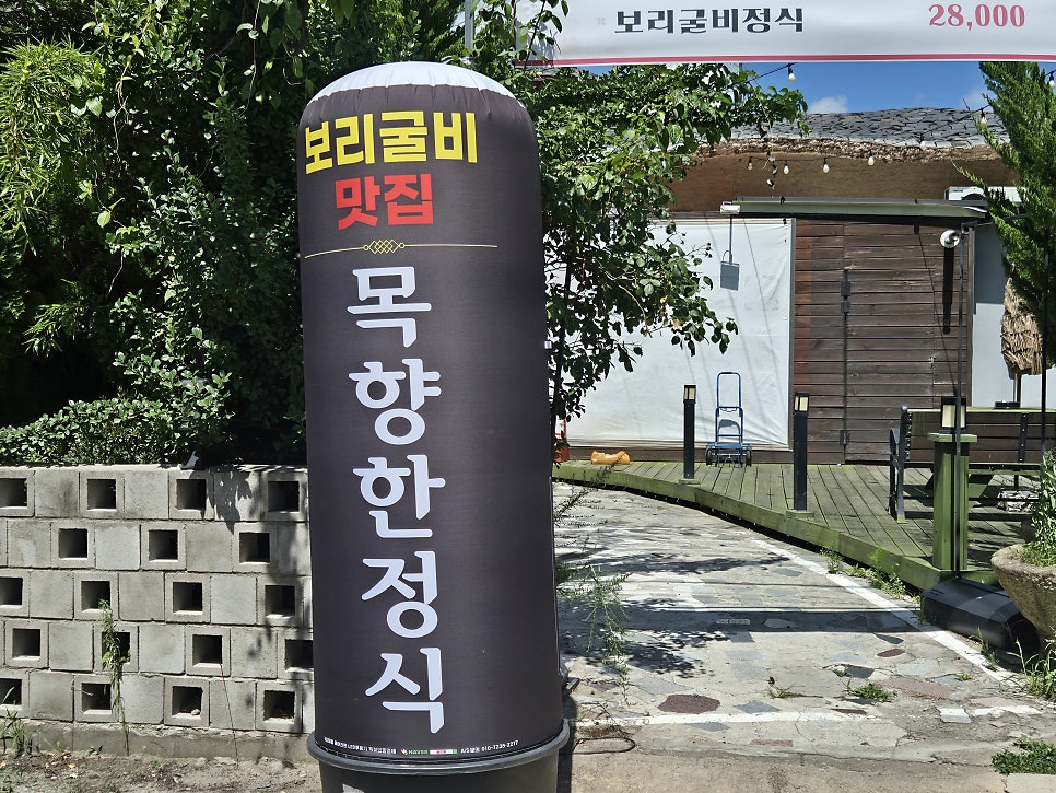목향 사진 1