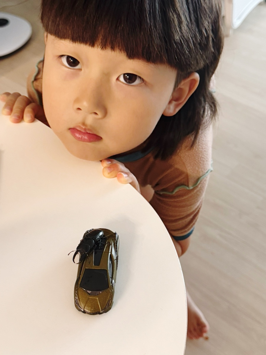 봉수산수목원 사진 3