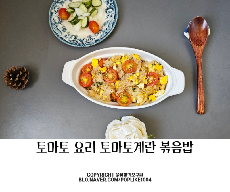 초간단 토마토계란볶음밥 요리 2가지 재료 냉장고 파먹기