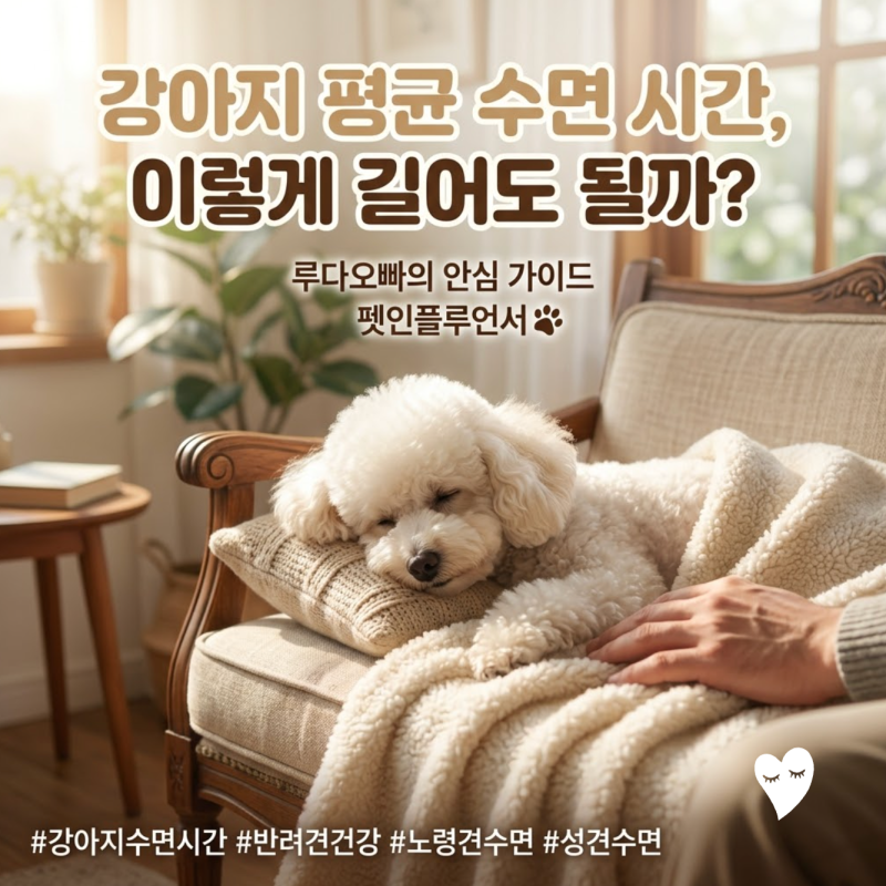 강아지 평균 수면 시간, 이렇게 길어도 될까