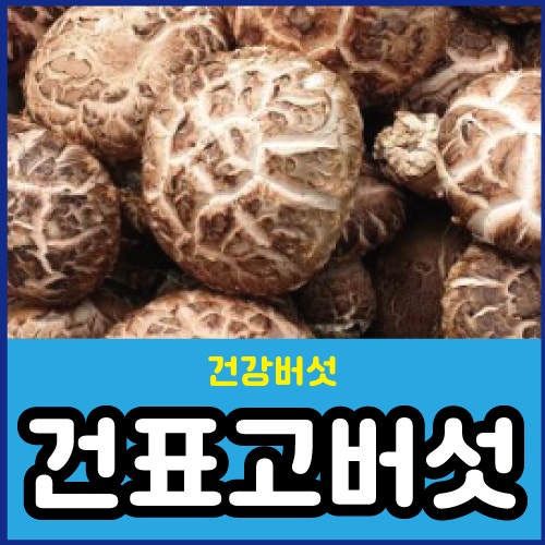 건표고버섯 보관법 건표고 효능 건표고 불리는법 손질법 요리법