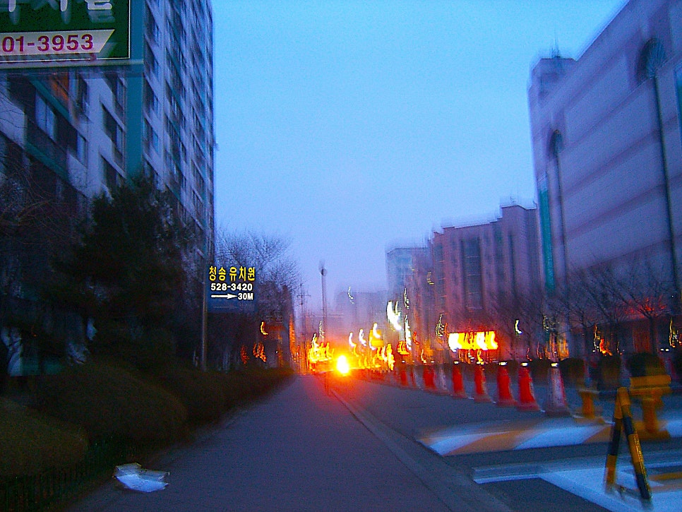 금학산