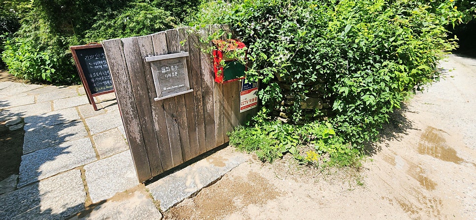 들꽃이야기 사진 2