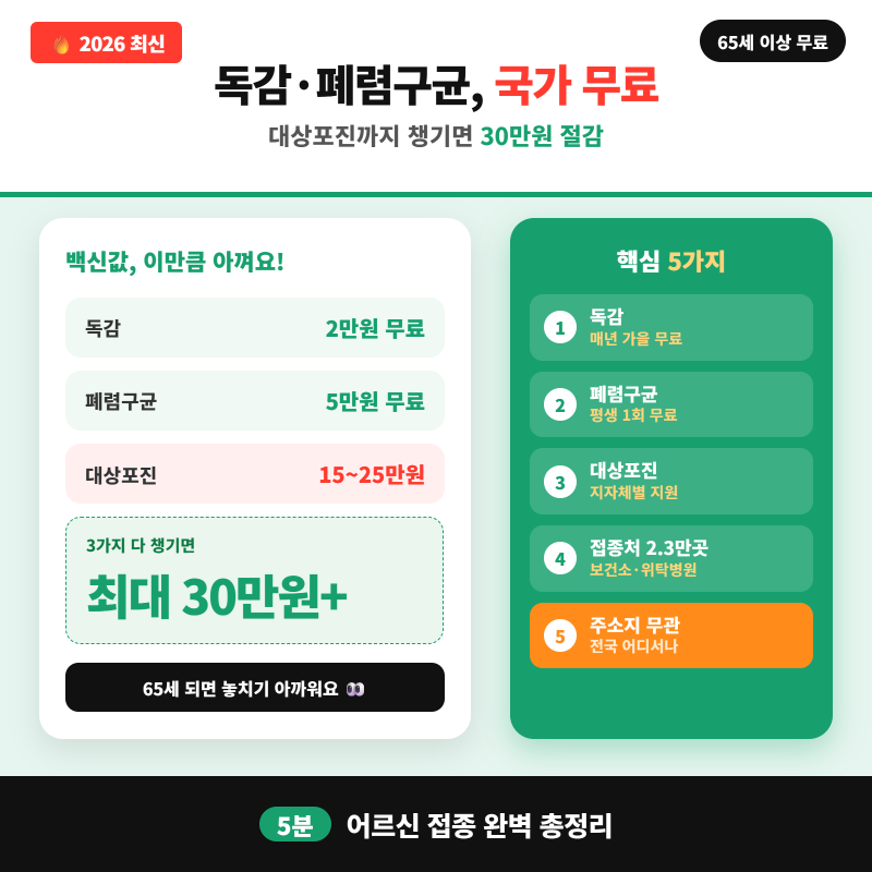 2026 어르신 무료 예방접종 5가지 총정리 (독감·폐렴구균 무료·대상포진 지원)