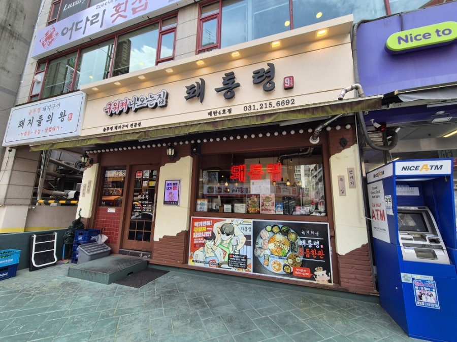 돼통령 사진 2