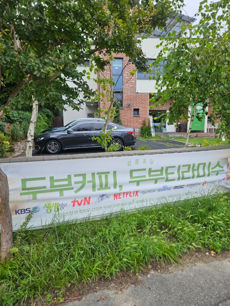 강릉초당두부티라미수 사진 2