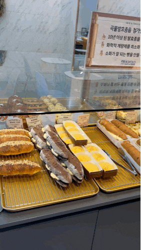 대전 송촌동 카페 보보로 베이커리, 빵지순례로 유명한 이유가 있었다