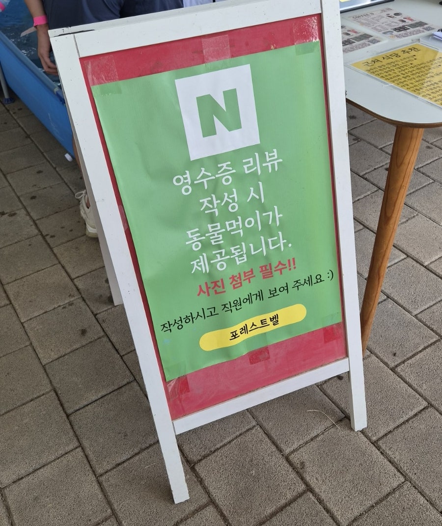 포레스트 사진 6