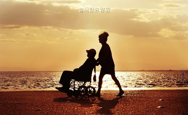 늘사랑요양원 사진 3
