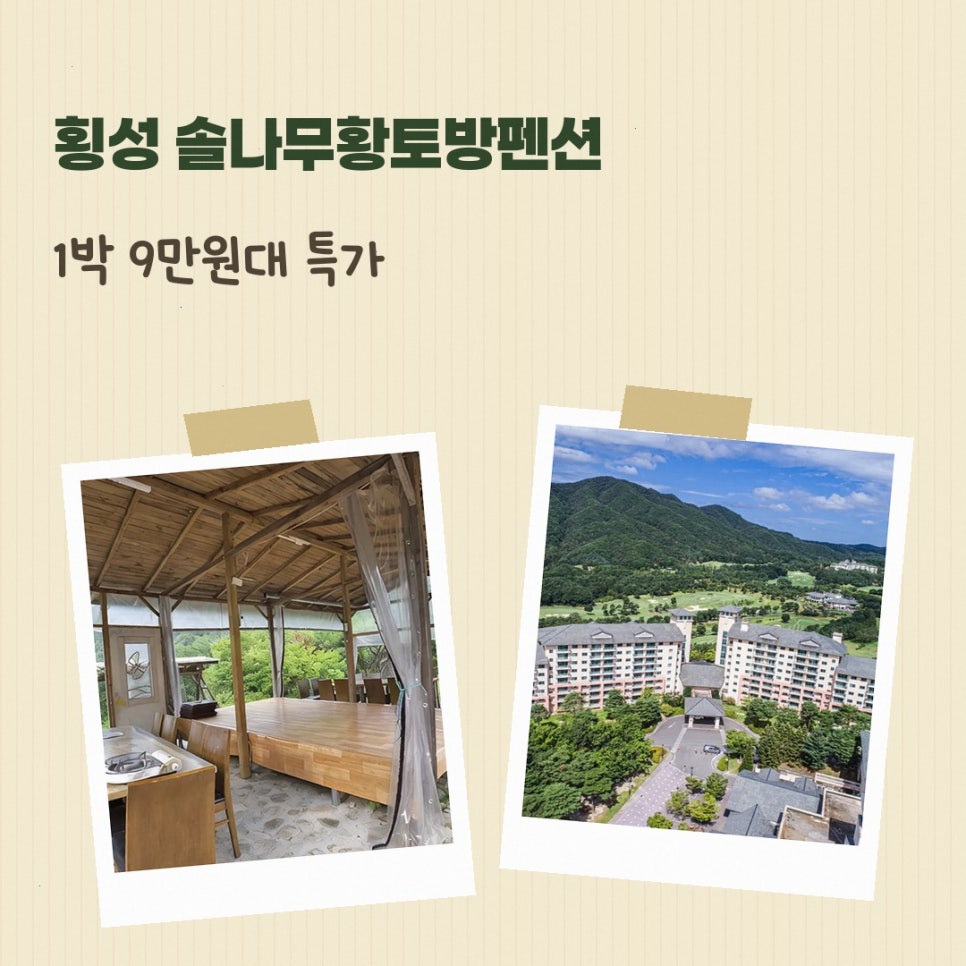 솔 사진 2