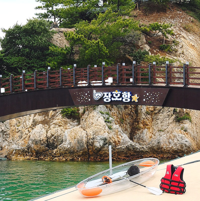 삼척 장호항 스노쿨링 위치 주차 가격 총정리 투명카누 요금