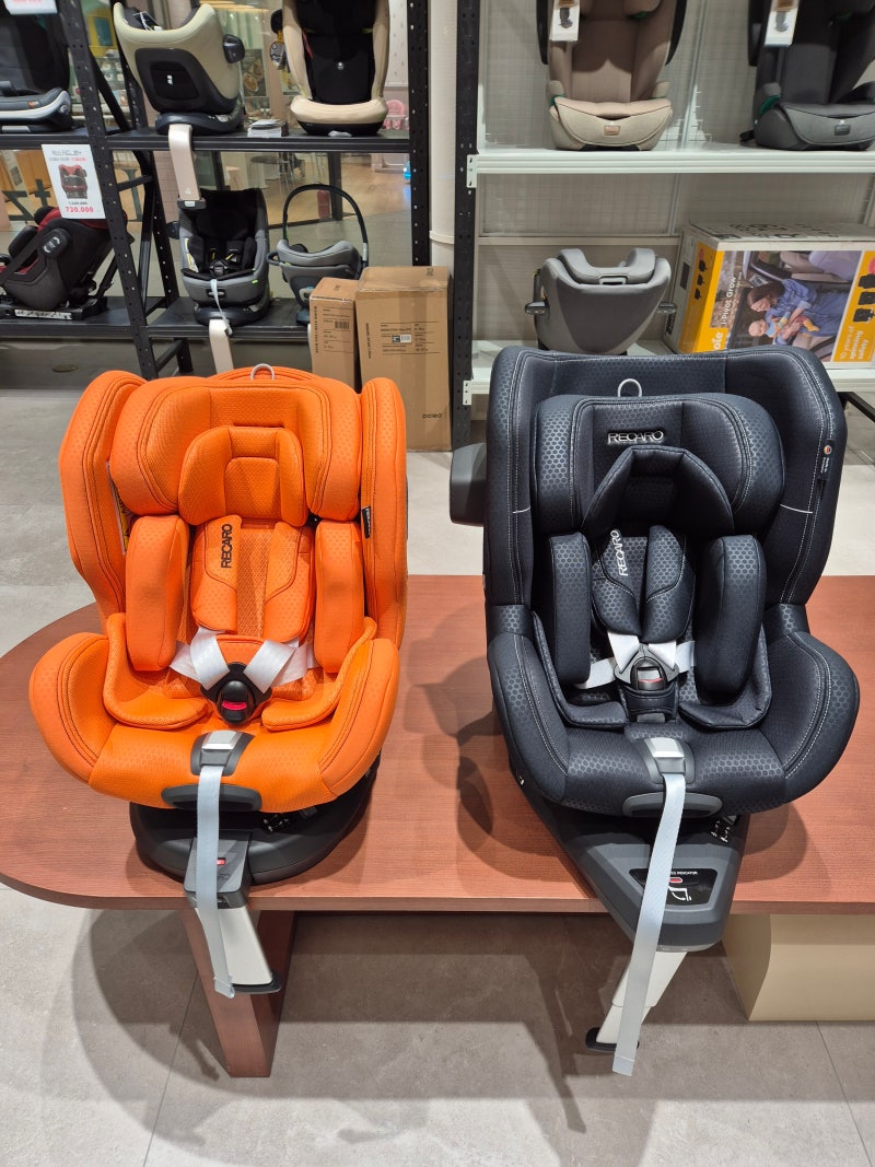 [현직 종사자 리뷰] 2026 라이징스타 RECARO 레카로 ' 제논&토론 ' 신생아 카시트 핵심 비교 리뷰