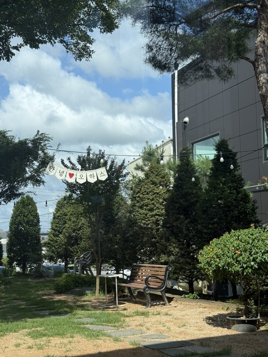 오하스 사진 4