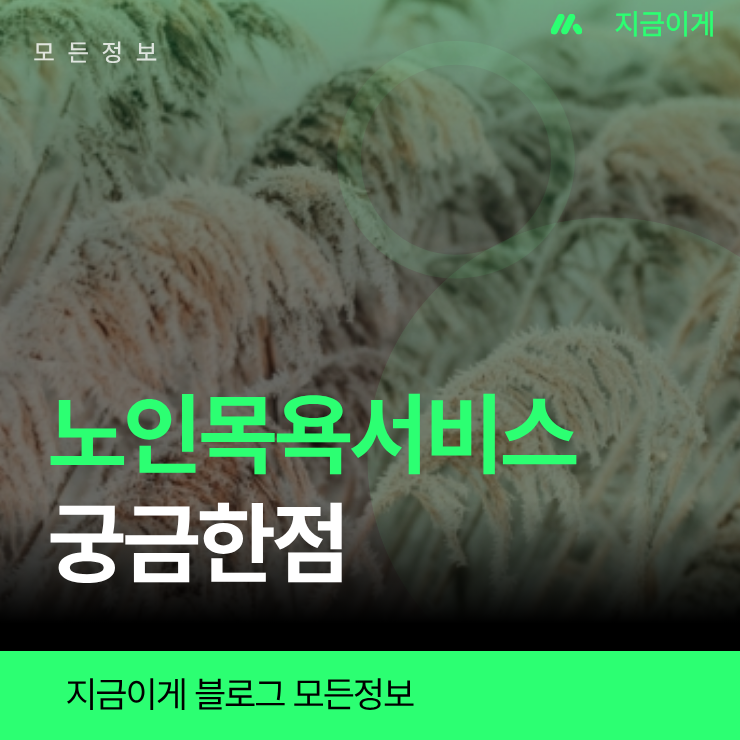 거상·거동 불편 부모님을 위한 노인목욕서비스 등급별 지원 혜택 및 목욕차량 선택 노하우