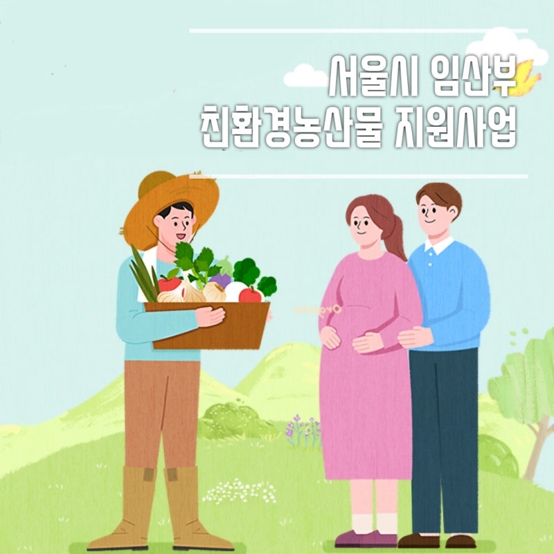 2026 서울시 임산부 친환경농산물 꾸러미 신청방법 총정리 24만원 지원받는 방법
