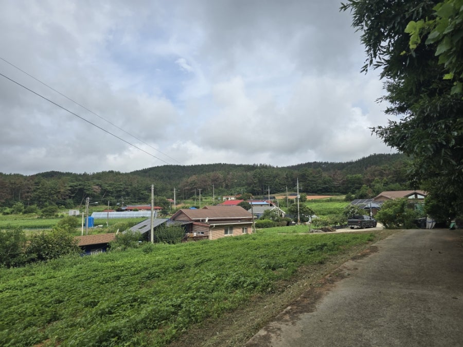 매봉산 사진 5