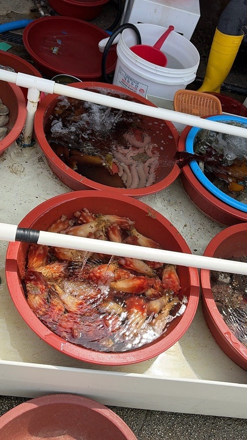 미진이할매 사진 4