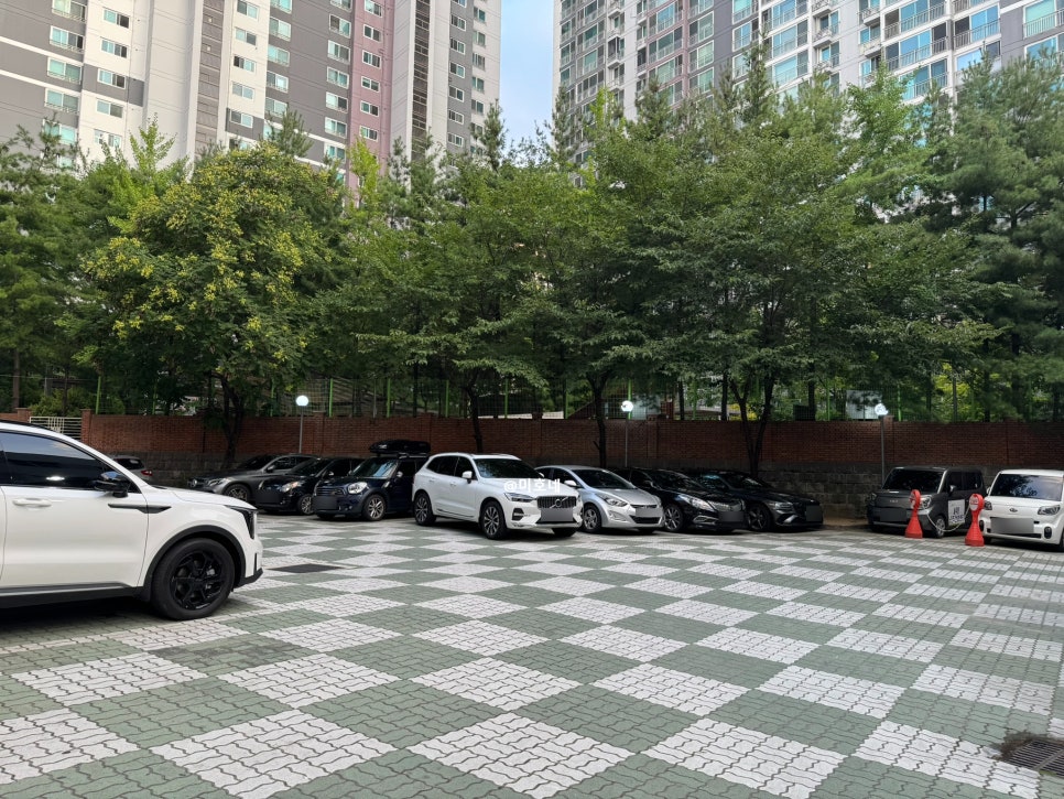 거북이동네 대구월성점 사진 3