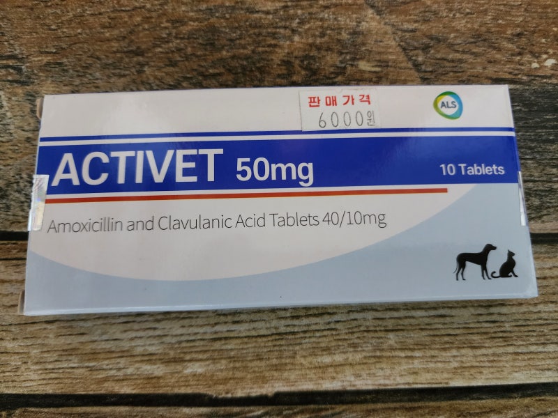 고양이항생제 강아지도 함께 먹여도 괜찮아요