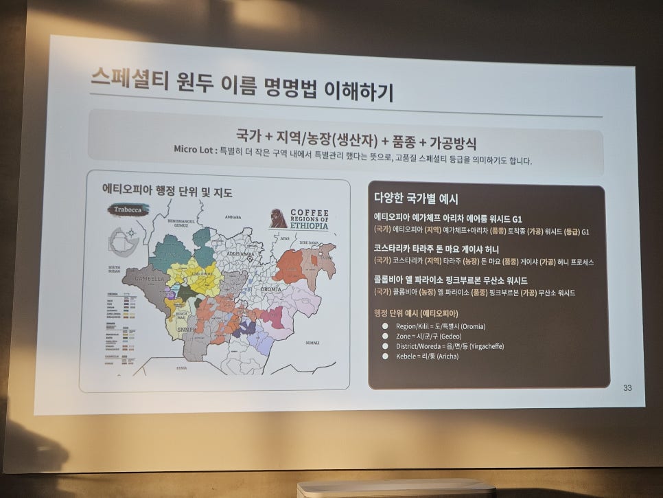 태백875 사진 5