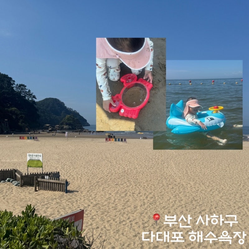 부산 아이랑 가볼만한곳 다대포해수욕장 갯벌 주차 개장 샤워실 정보