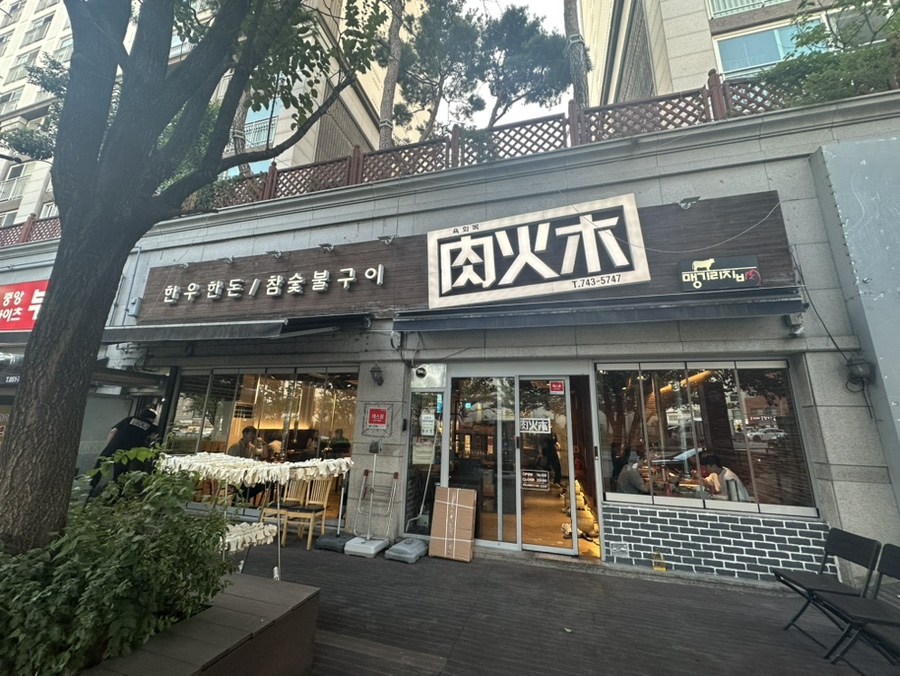 육화목 사진 2
