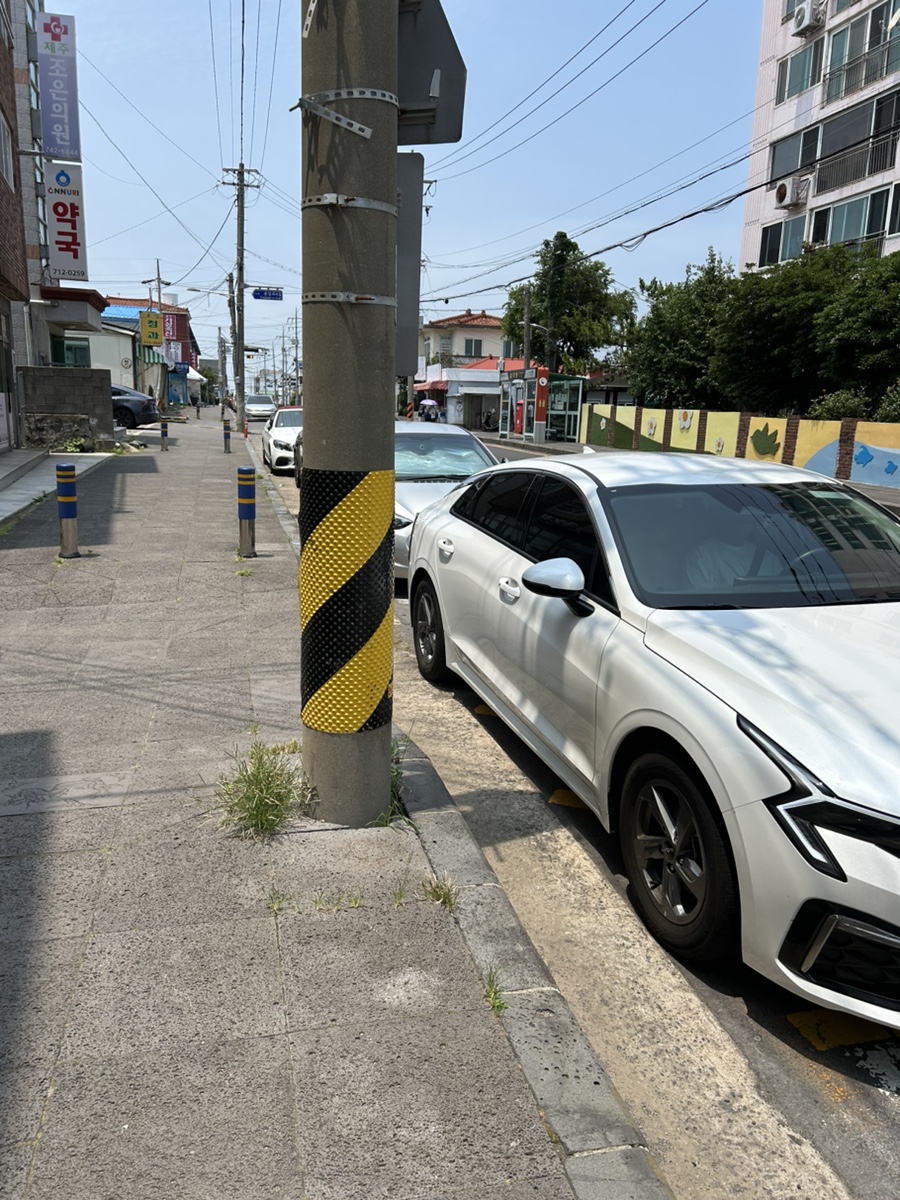 섭씨제주 사진 3
