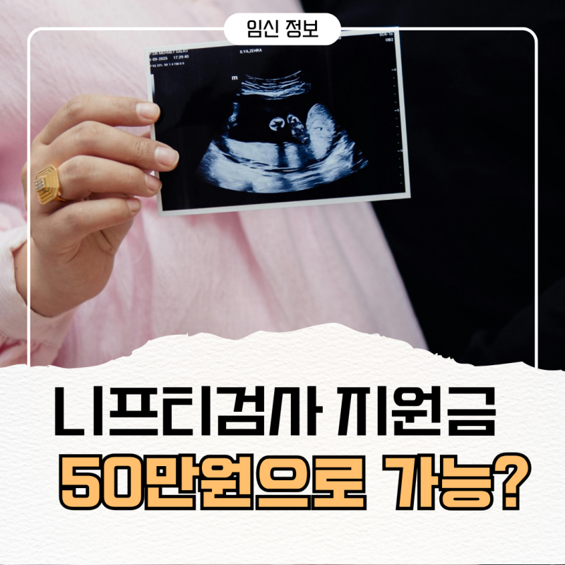 니프티검사 지원금 50만원받고 0원으로 검사한 후기