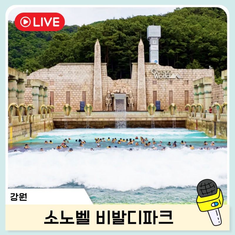 소노벨 비발디파크 오션월드 패키지 할인 준비물 꿀팁