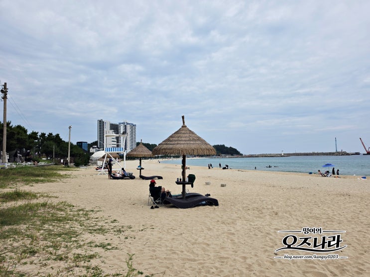 강원도 양양 <b>죽도</b>해변 해수욕장 물놀이 후기! 파라솔 샤워실... 
